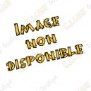 Lot de 10 Pin's