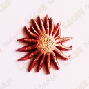 Micro Coin "Sunflower" - Cuivre