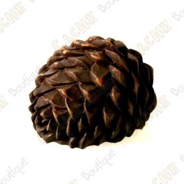 /405-1593-thickbox/cache-pomme-de-pin-small-micro.jpg