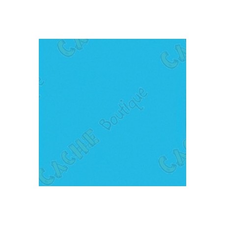 T-Shirt "Travel Bug" Trackable Homme - Bleu