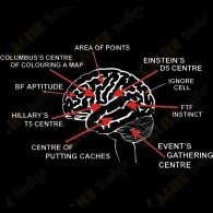  L'explication de comment notre cerveau arrive à penser, rêver, comprendre, décrypter, parler... berf, à VIVRE en mode géocaching ! 