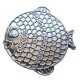 Geocoin "Rainbow Fish" - Dark on White Silver LE