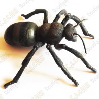 Cache "Inseto" - Grande formiga