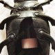 Cache "insect" - Large beetle