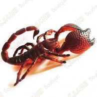 Cache "insect" - Large scorpion
