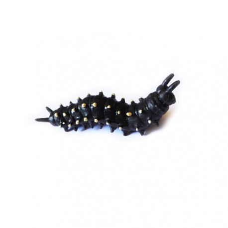 Cache "Bestiole" - Chenille noire