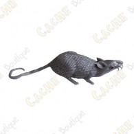 Cache "insect" - Grey mouse
