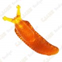 Cache "Bestiole" - Grosse limace orange