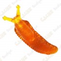 Cache "insect" - Big orange slug