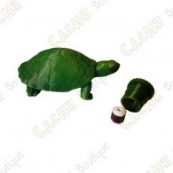 Cache "Turtoise" - Green