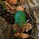 Cache "Tortue" - Verte