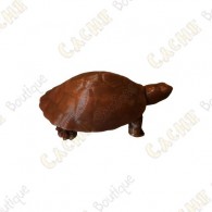 Cache "Turtoise" - Brown