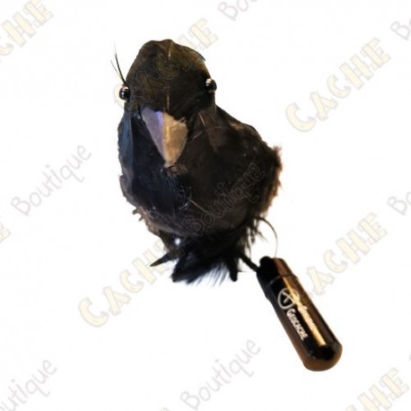 Cache "Bestiole" - Corbeau