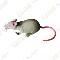Cache "Bestiole" - Rat gris