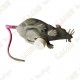 Cache "insect" - Grey rat
