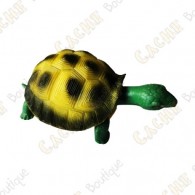 Cache "insect" - Turtle