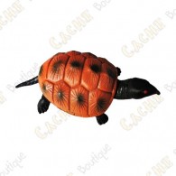 Cache "insect" - Turtle