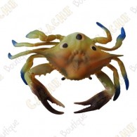 Cache "Bestiole" - Crabe bleu