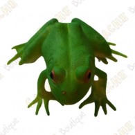 Cache "insect" - Green frog