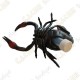 Cache "Bestiole" - Scorpion